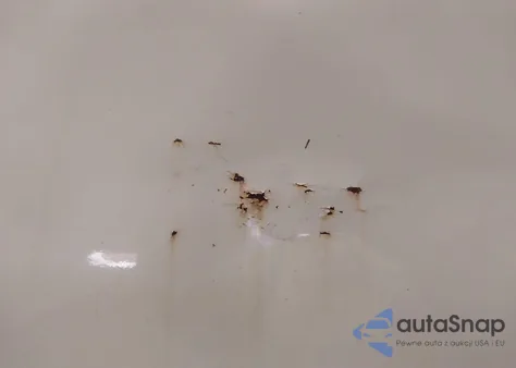 2011 Ford E-350 Super Duty Commercial z USA, uszkodzony, nr VIN 1FTSS3EL9BDA84421